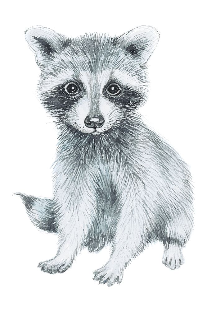 Baby Raccoon art print by Elena Markelova for $57.95 CAD