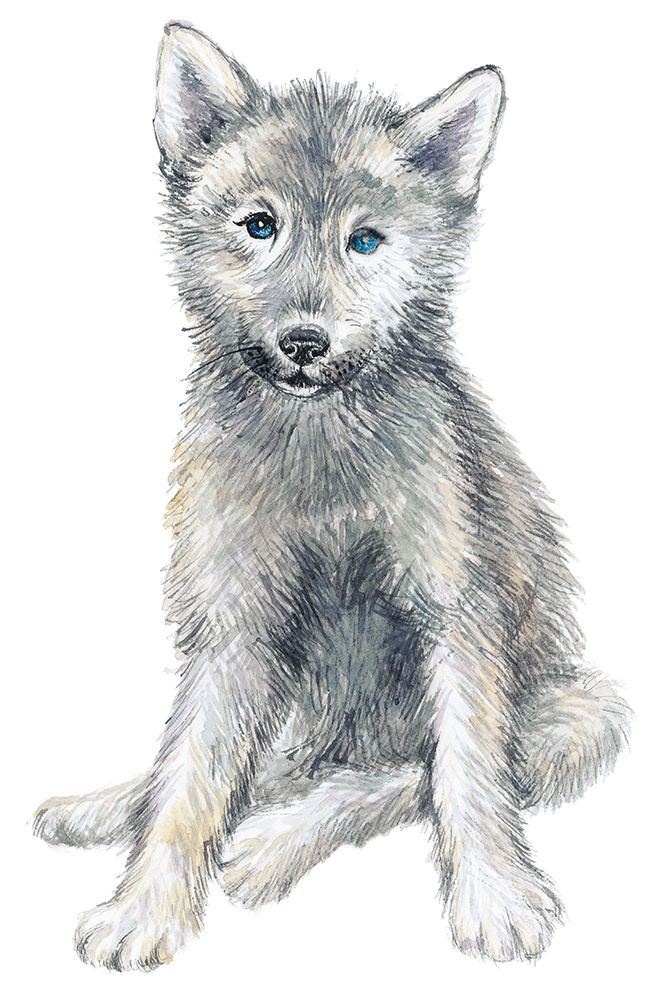 Baby Coyote art print by Elena Markelova for $57.95 CAD