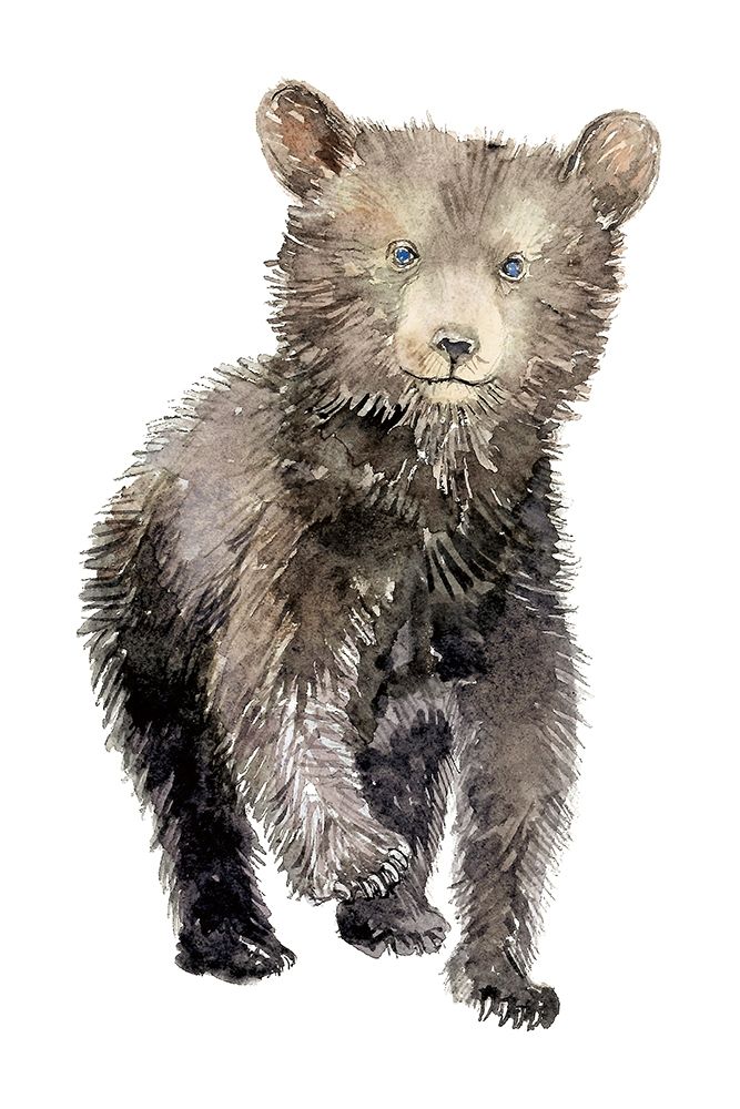 Baby Bear art print by Elena Markelova for $57.95 CAD
