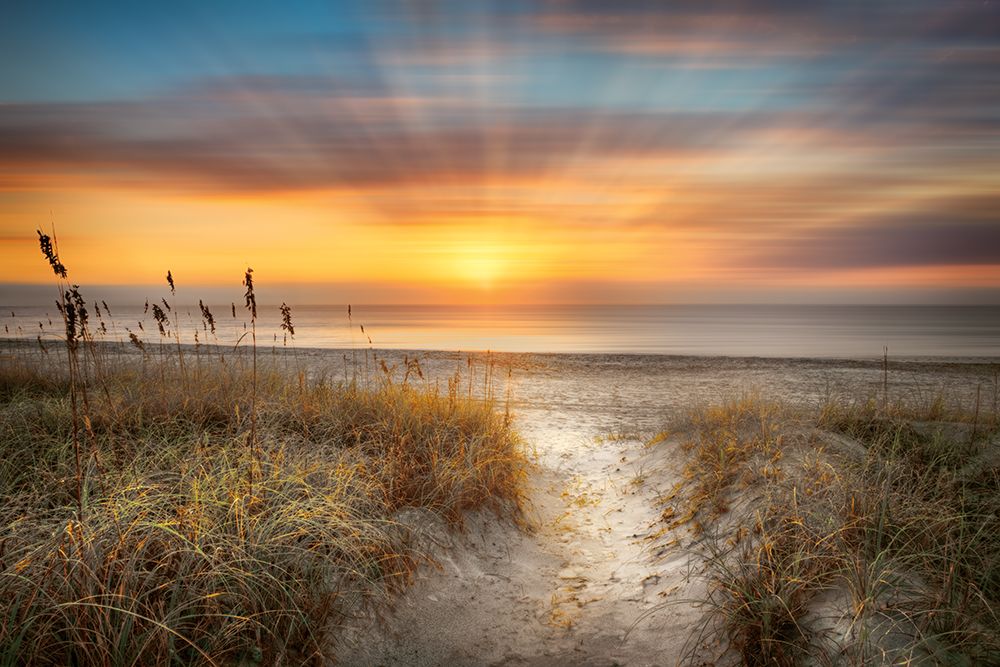 Sandy Walk At The Dunes art print by Celebrate Life Gallery for $57.95 CAD