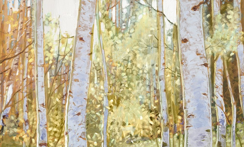 Summer Birch I  art print by Anthony Del Rizzo for $57.95 CAD