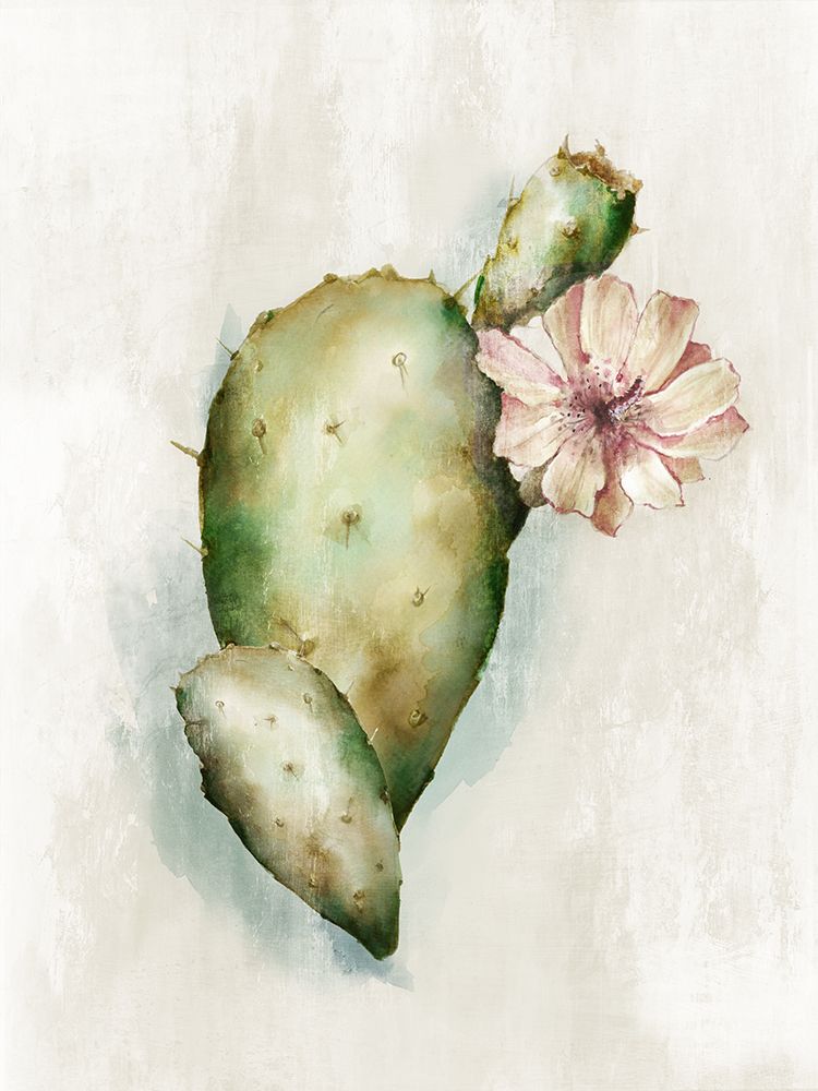 Cactus Bloom III art print by Alex Black for $57.95 CAD