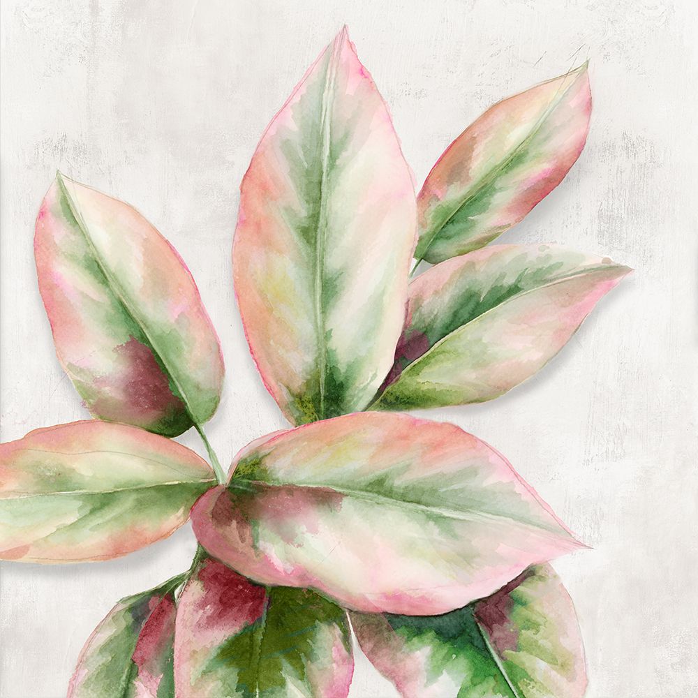 Fresh Leaves I art print by Alex Black for $57.95 CAD