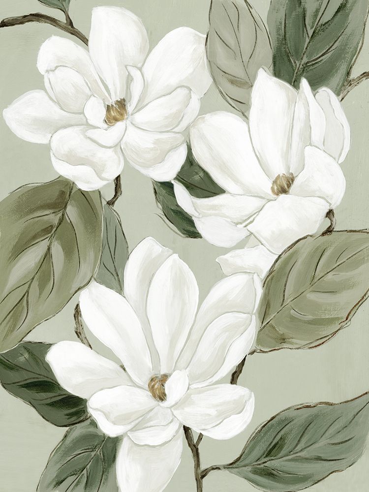 White Blooms on Soft Sage art print by Alex Black for $57.95 CAD