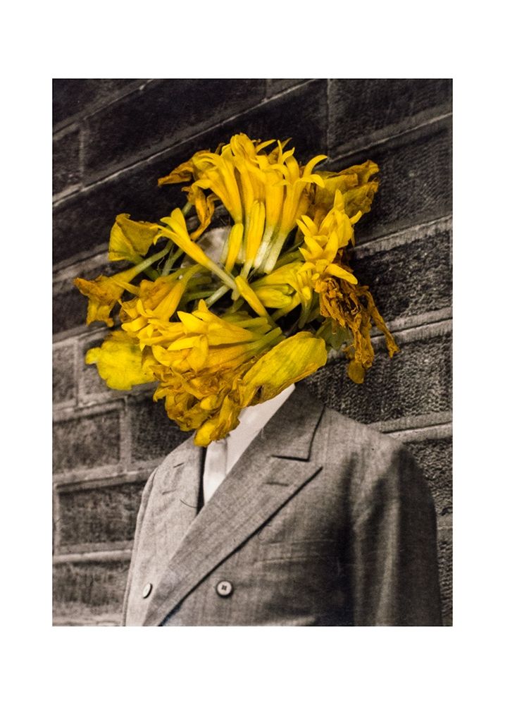 Flower Head art print by Ben Dickey for $57.95 CAD