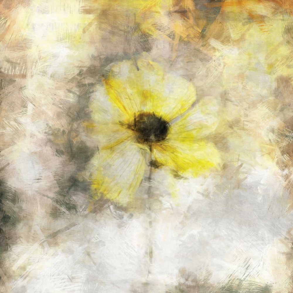 Sepia Bloom IV art print by John Bingham for $57.95 CAD