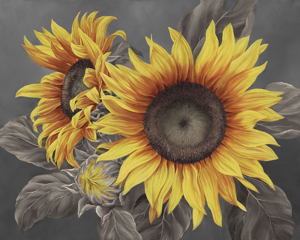 We are the sun III art print by Marianne Broome for $57.95 CAD