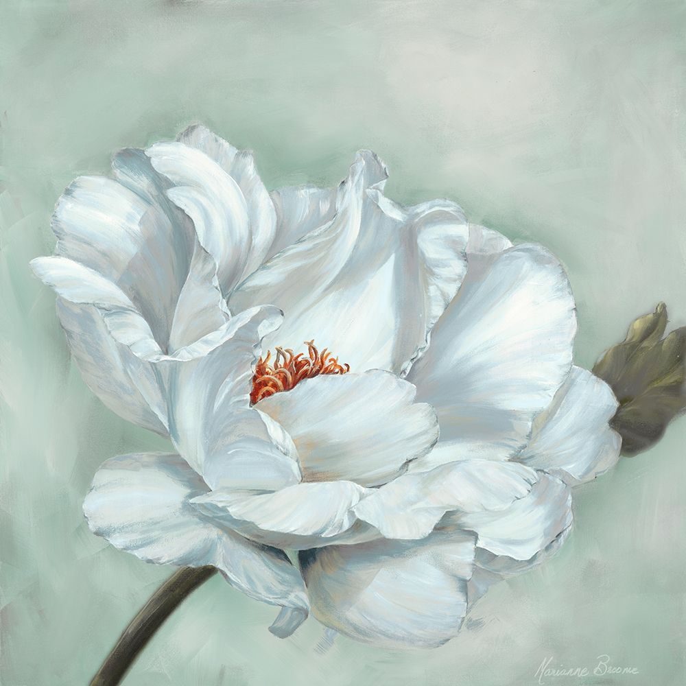 Precious Peony I art print by Marianne Broome for $57.95 CAD
