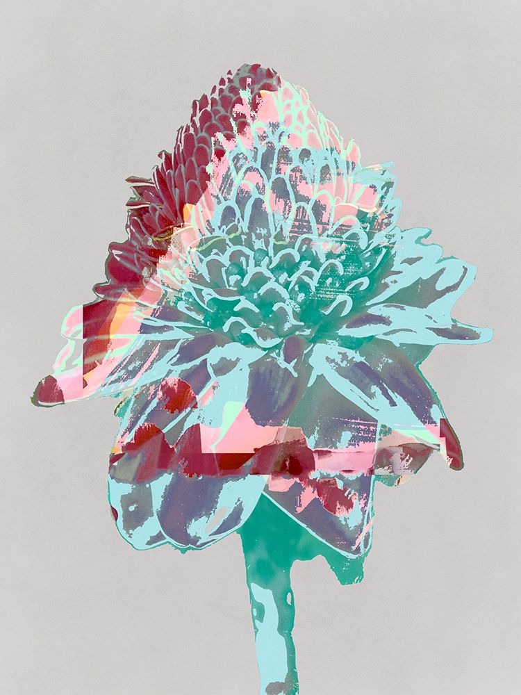 Zags art print by Casa Cartissi for $57.95 CAD