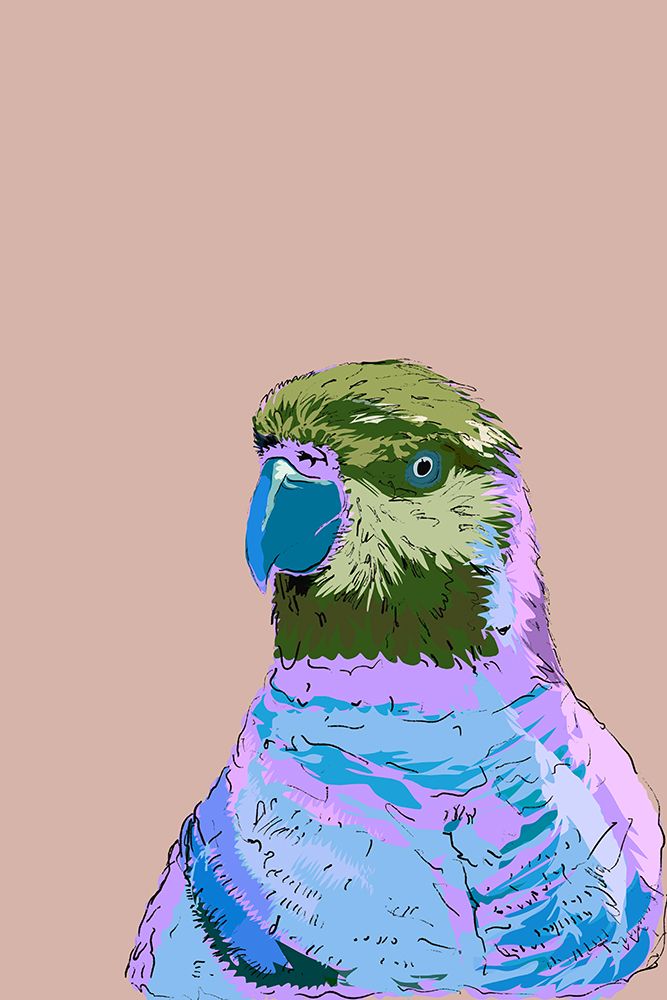 Punk Bird I art print by Casa Cartissi for $57.95 CAD