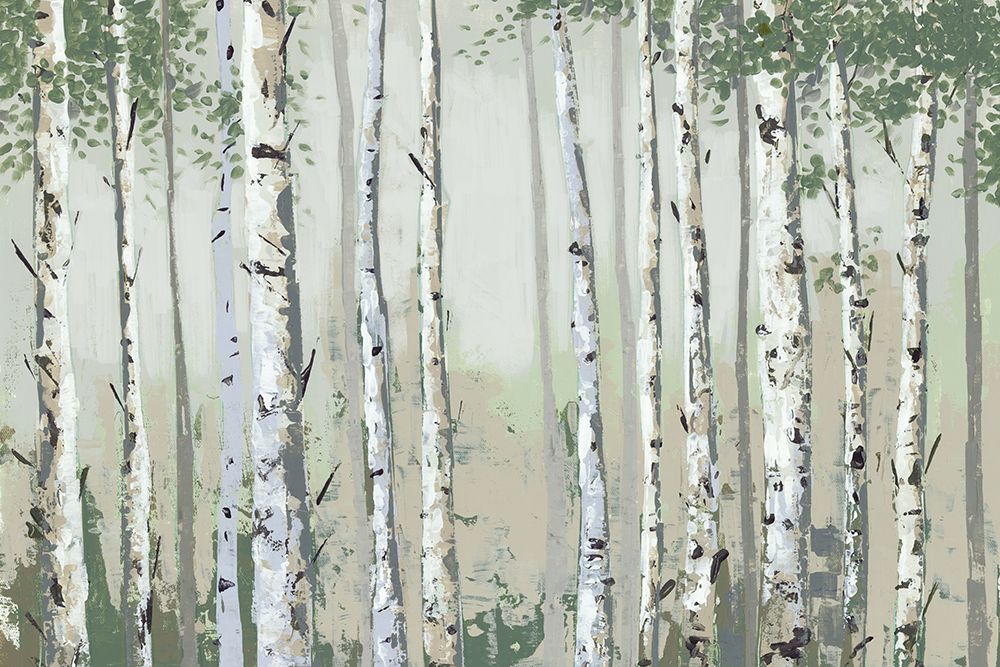 Green Birch Wood art print by Jacob Q for $57.95 CAD