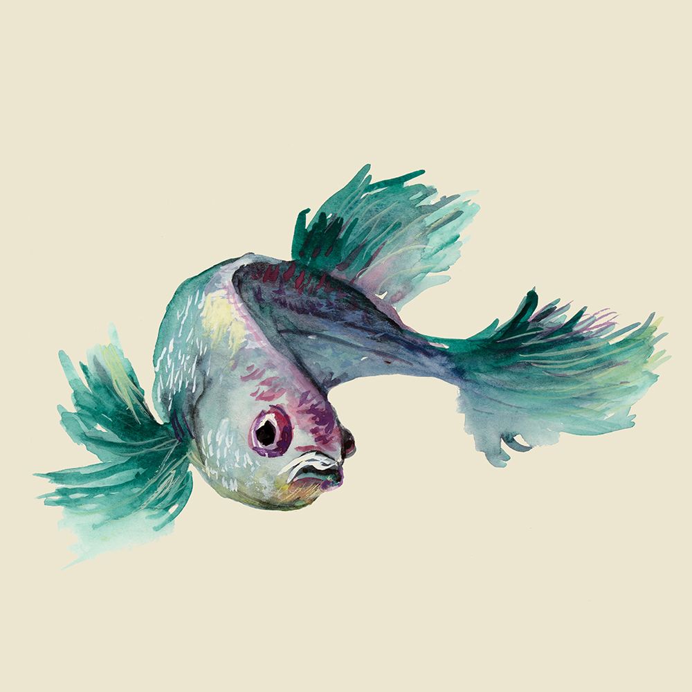Betta Fish art print by Jacob Q for $57.95 CAD