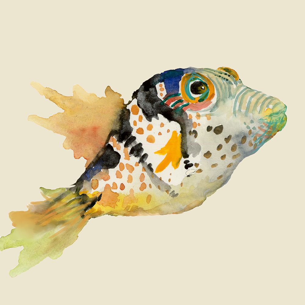 Reef Fish art print by Jacob Q for $57.95 CAD