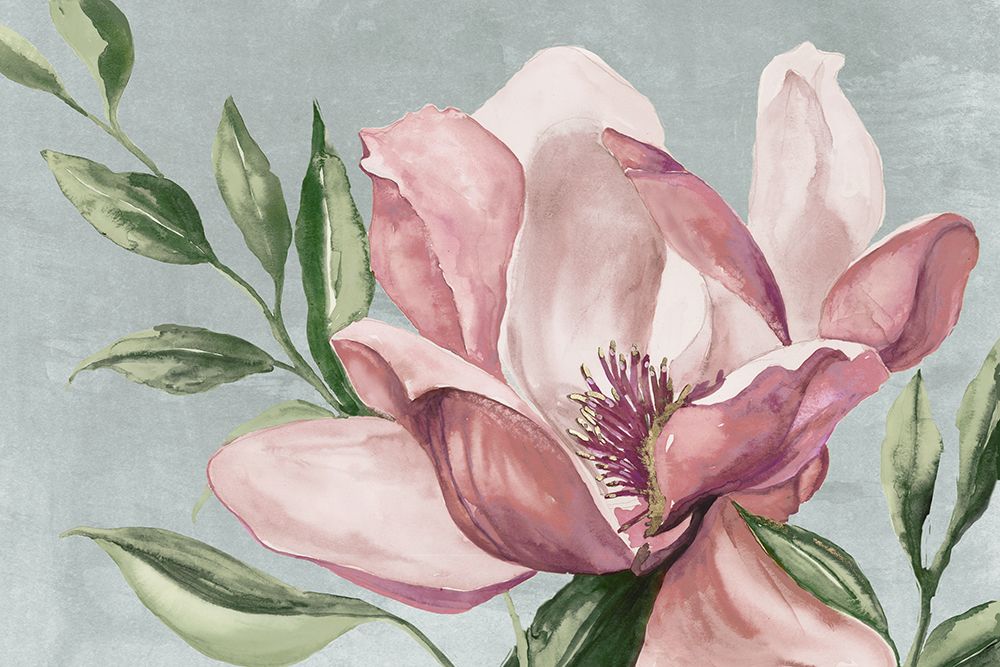 Blooming Pink Magnolia art print by Jacob Q for $57.95 CAD