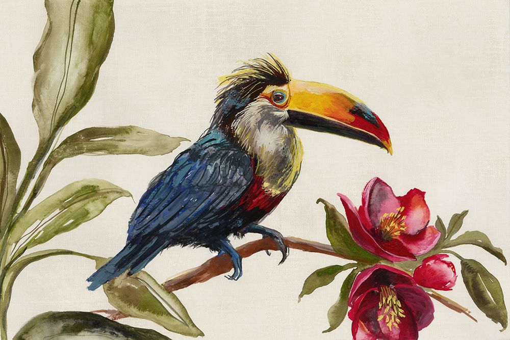 Toucan on Branch art print by Jacob Q for $57.95 CAD