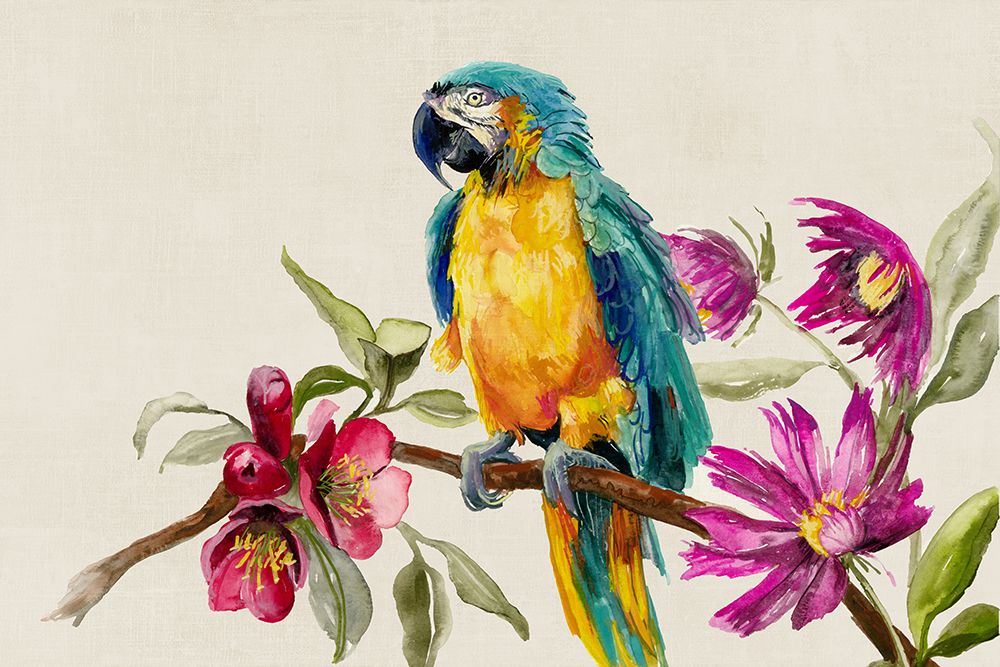 Parrot on Branch art print by Jacob Q for $57.95 CAD