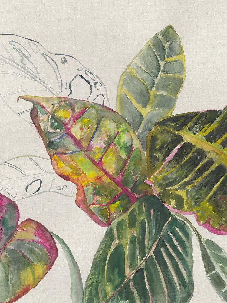 Crotons art print by Jacob Q for $57.95 CAD