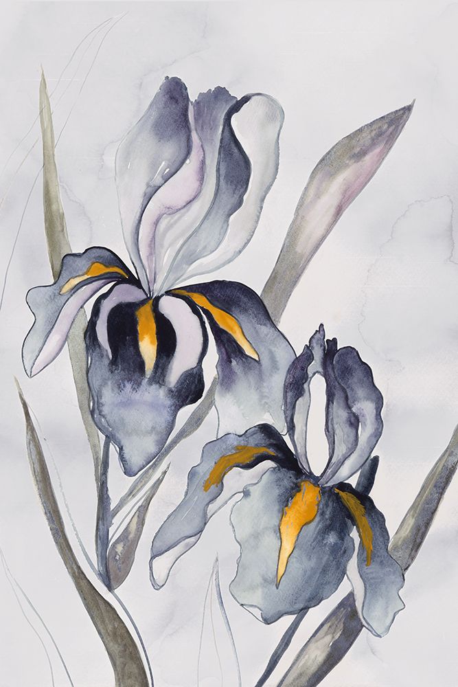 Black Iris art print by Jacob Q for $57.95 CAD