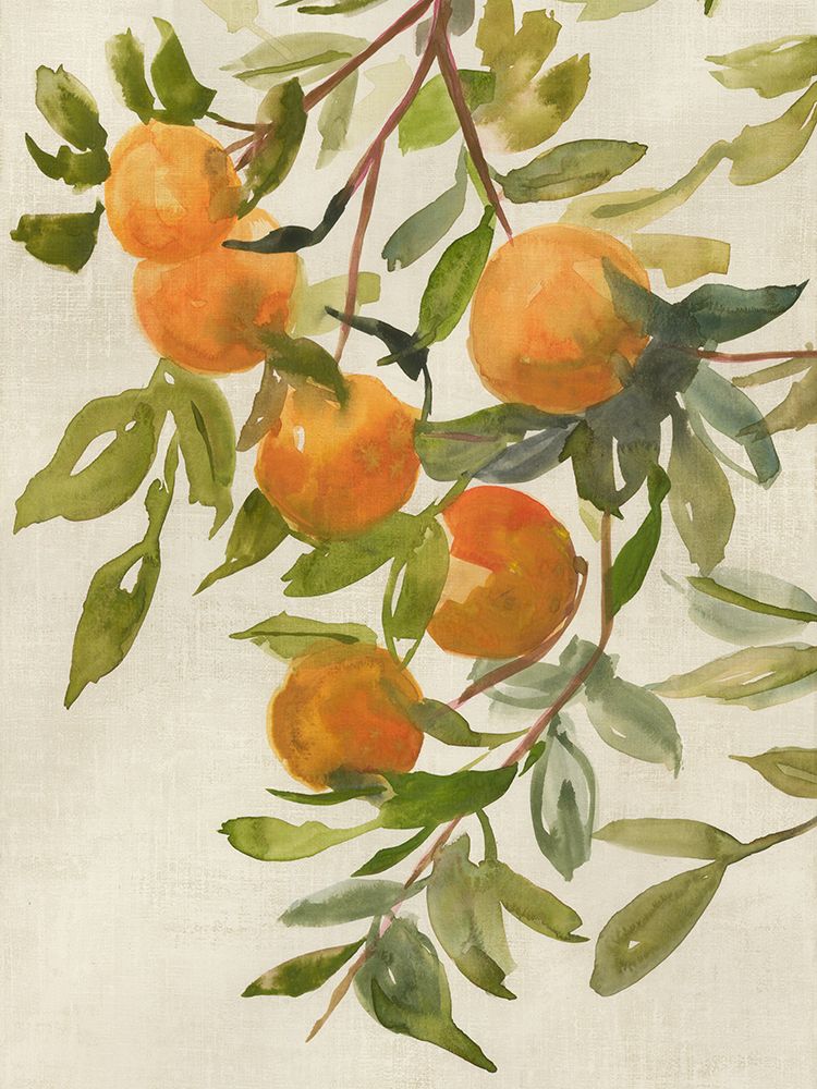 Branch of Oranges I art print by Jacob Q for $57.95 CAD