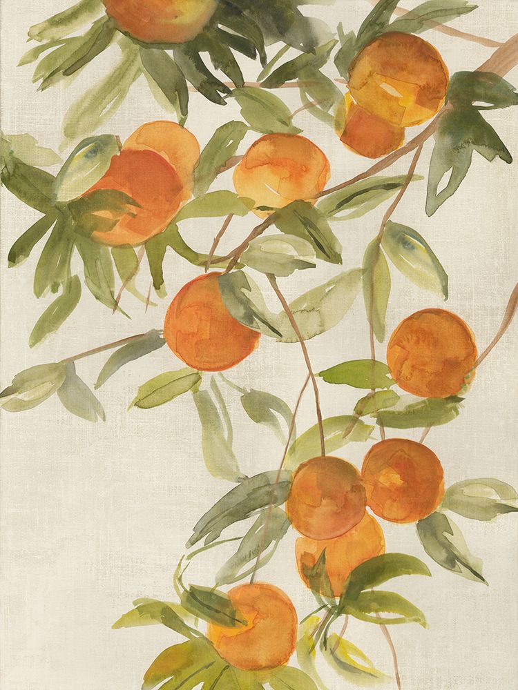 Branch of Oranges II art print by Jacob Q for $57.95 CAD