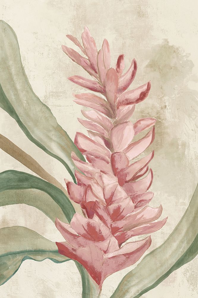 Pink Ginger II art print by Jacob Q for $57.95 CAD
