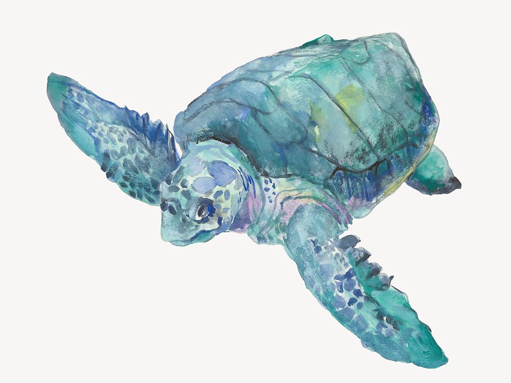 Blue Great Sea Turtle II art print by Jacob Q for $57.95 CAD