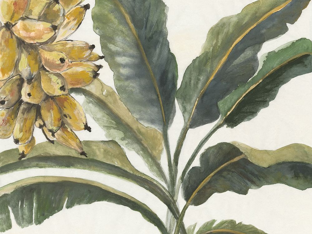 Banana Green Leaves art print by Jacob Q for $57.95 CAD