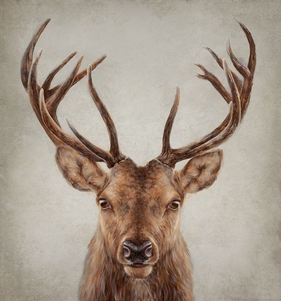 Stag Presence art print by Dina Perejogina for $57.95 CAD