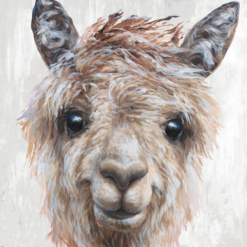 Alpaca II art print by Dina Perejogina for $57.95 CAD