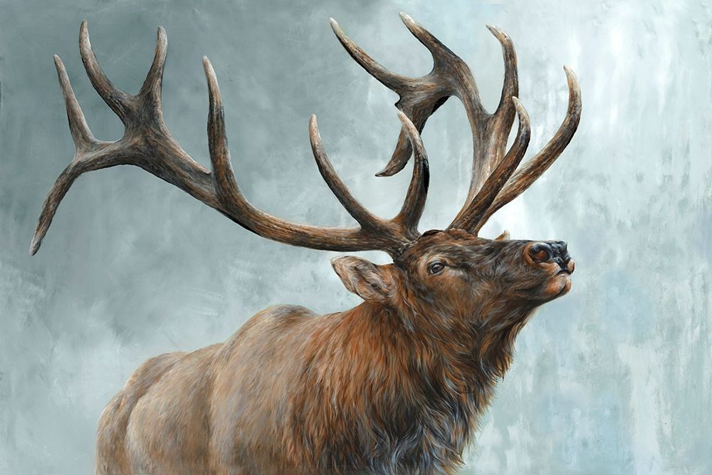 Rising Bull Elk  art print by Dina Perejogina for $57.95 CAD