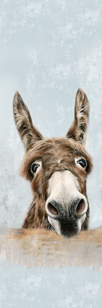 The DonkeysÂ  art print by Dina Perejopgina for $57.95 CAD