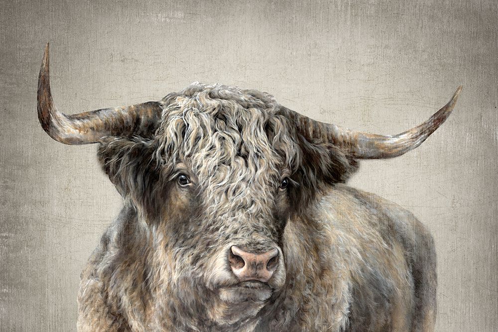 Grand Kyloe Bull  art print by Dina Perejogina for $57.95 CAD