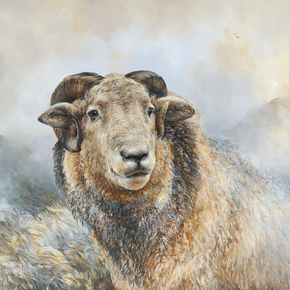 Herdwick Sheep art print by Dina Perejogina for $57.95 CAD