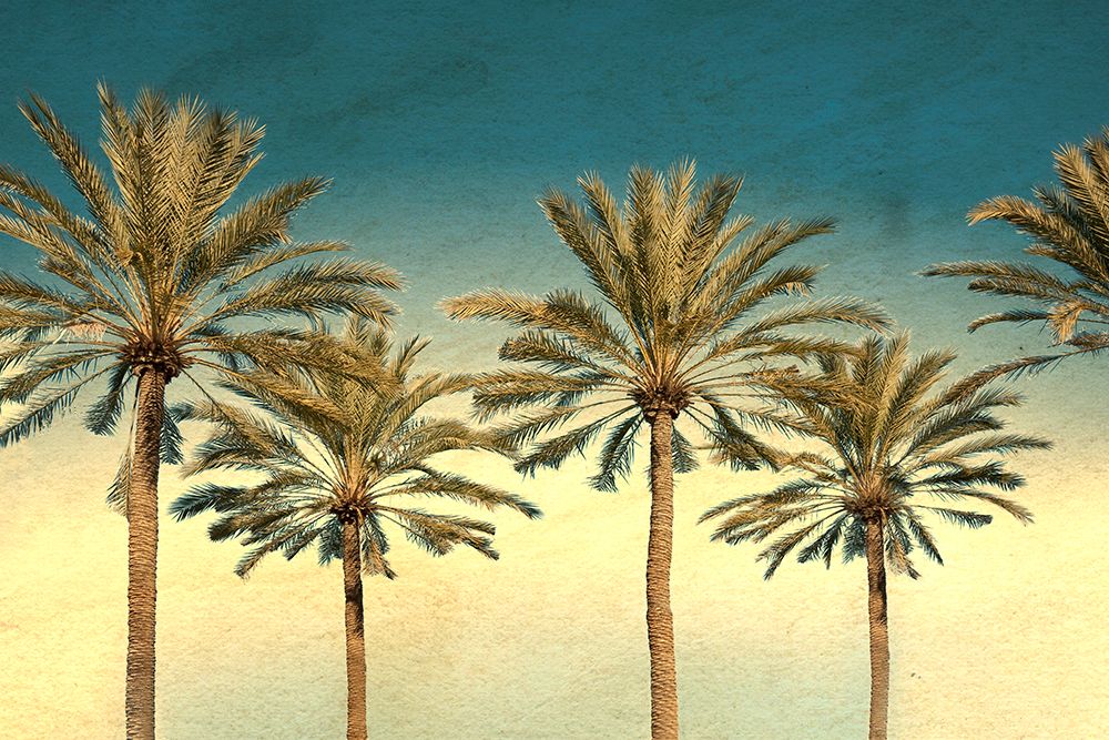 Distressed Palm Trees art print by Daniel Stein for $57.95 CAD