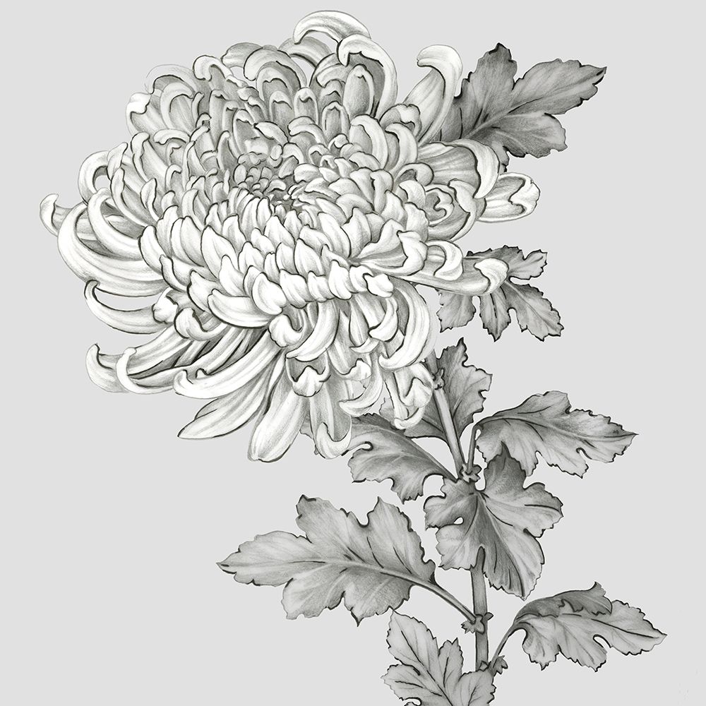 Grey Botanical I art print by Eva Watts for $57.95 CAD