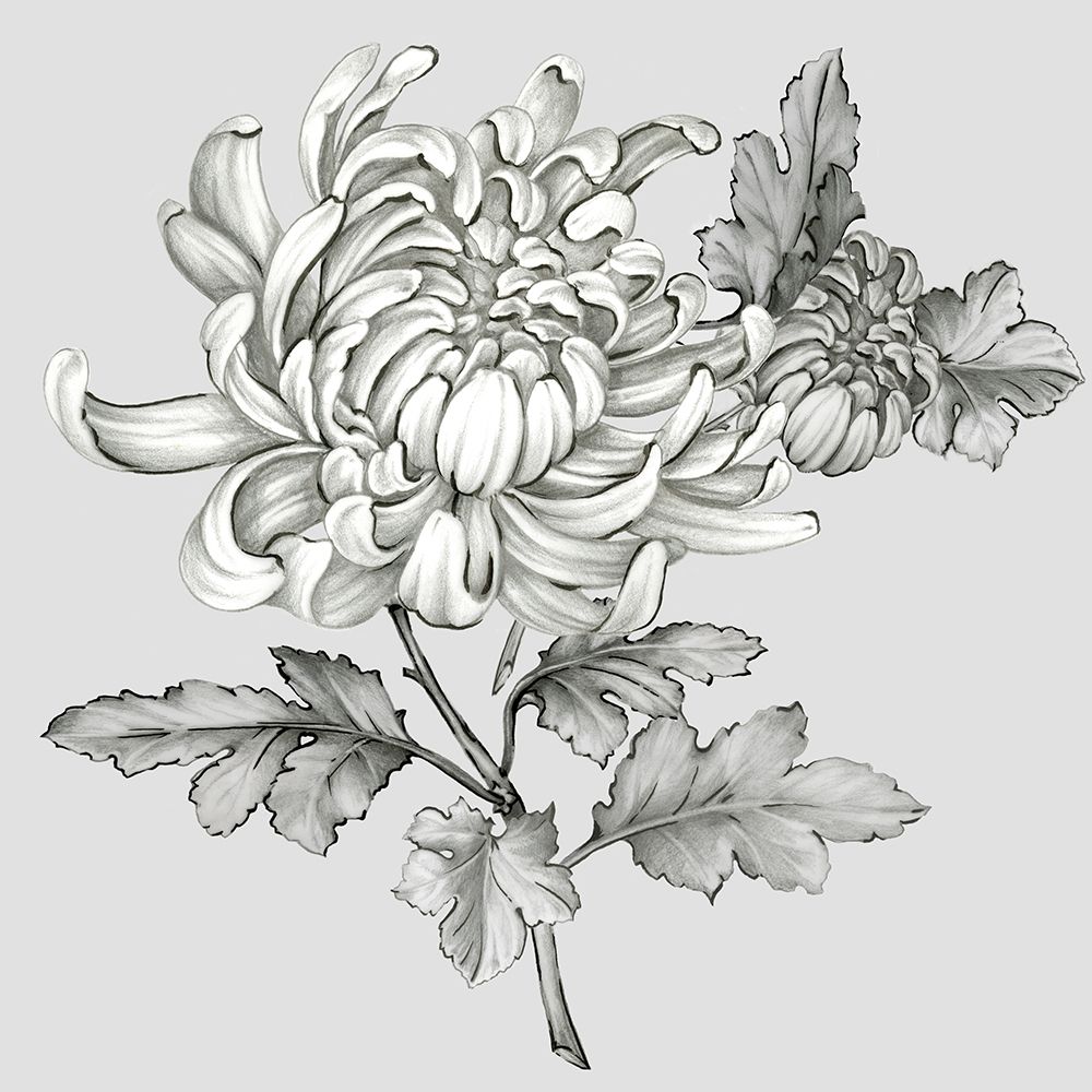 Grey Botanical II art print by Eva Watts for $57.95 CAD