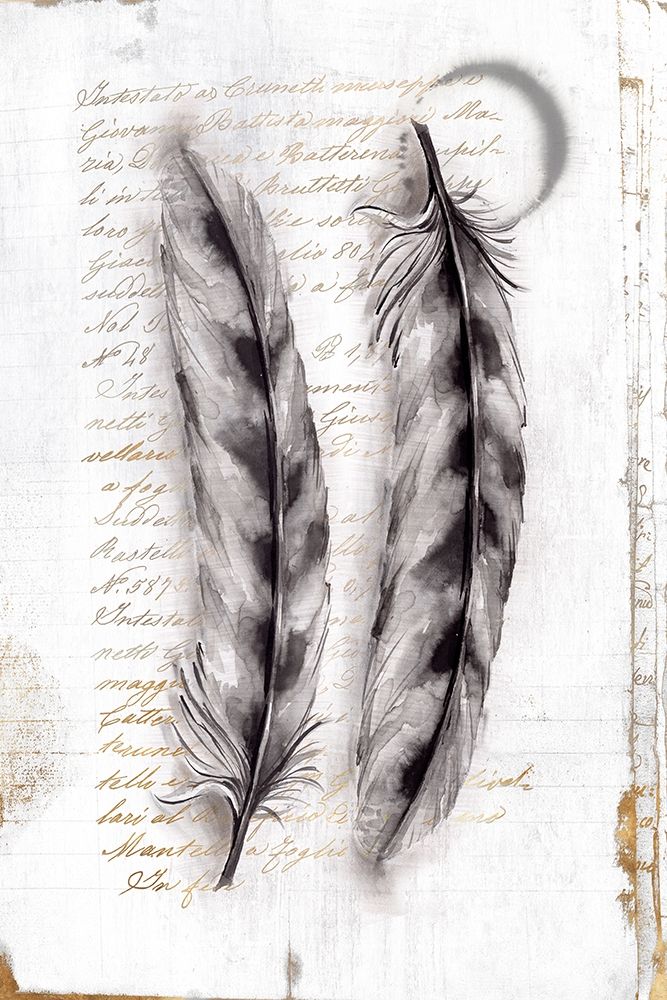 Vintage Feathers I  art print by Eva Watts for $57.95 CAD