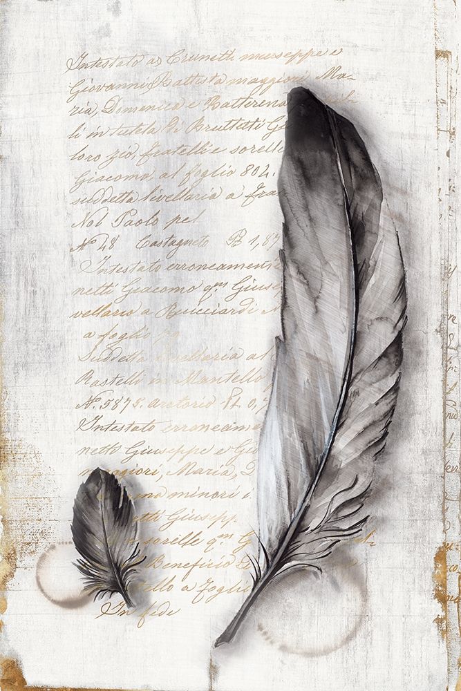 Vintage Feathers II  art print by Eva Watts for $57.95 CAD