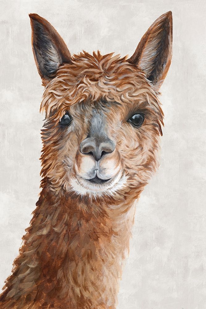 Suri Alpaca II  art print by Eva Watts for $57.95 CAD
