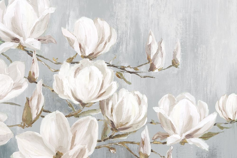 White Magnolia art print by Eva Watts for $57.95 CAD