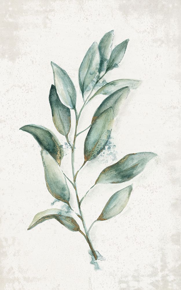 Olive Stalk art print by Emma Watts for $57.95 CAD