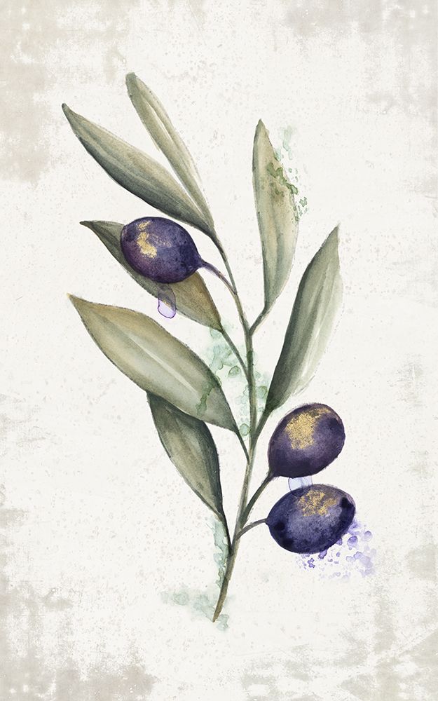 Olea art print by Eva Watts for $57.95 CAD
