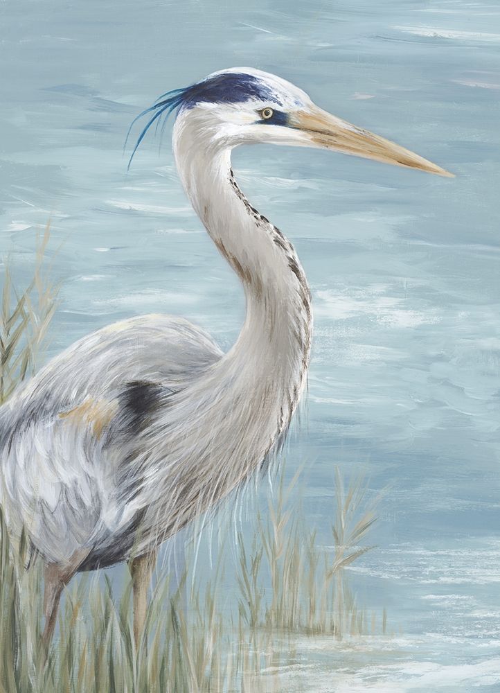 Great Blue Heron Gaze art print by Eva Watts for $57.95 CAD