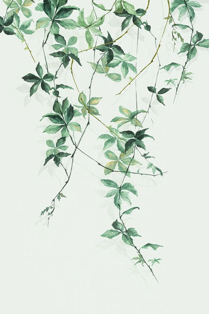 Enchanting Vine art print by Eva Watts for $57.95 CAD