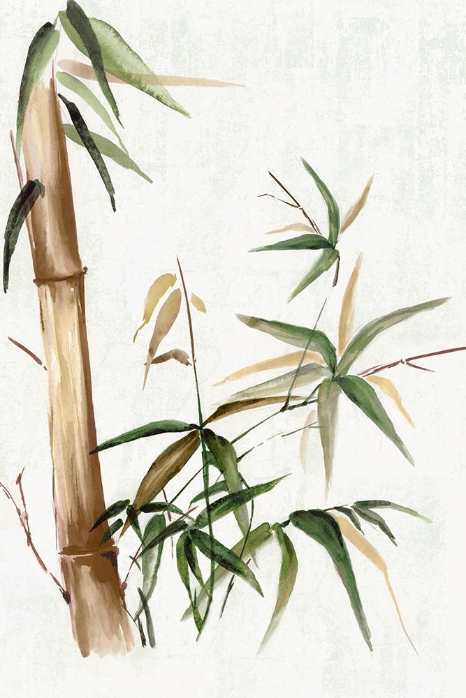 Green Bamboo I art print by Eva Watts for $57.95 CAD