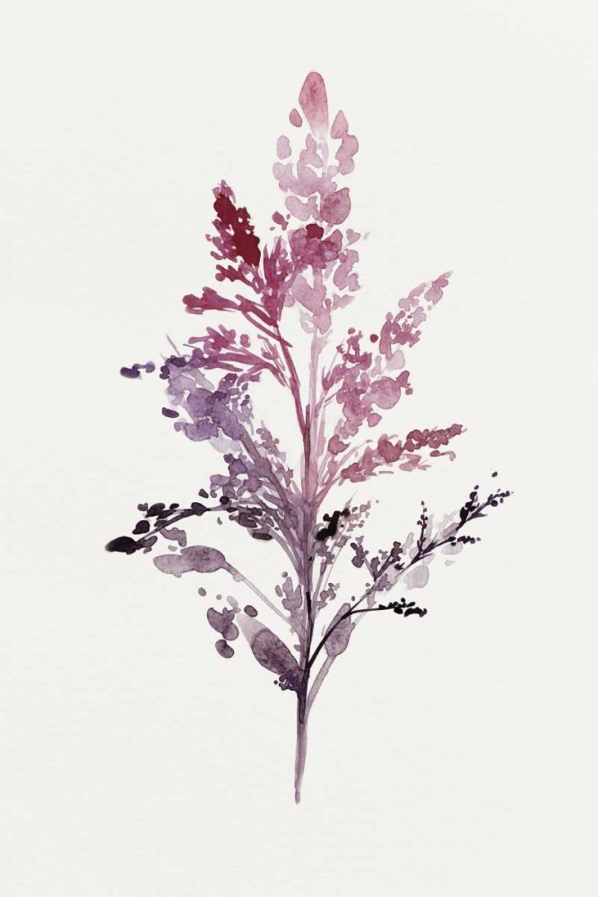 Botanical II art print by Isabelle Z for $57.95 CAD