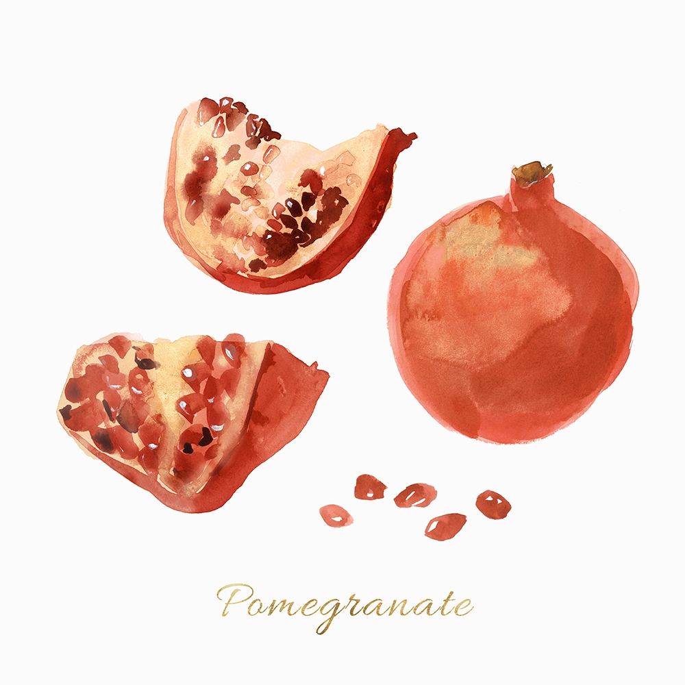 Pomegranate  art print by Isabelle Z for $57.95 CAD