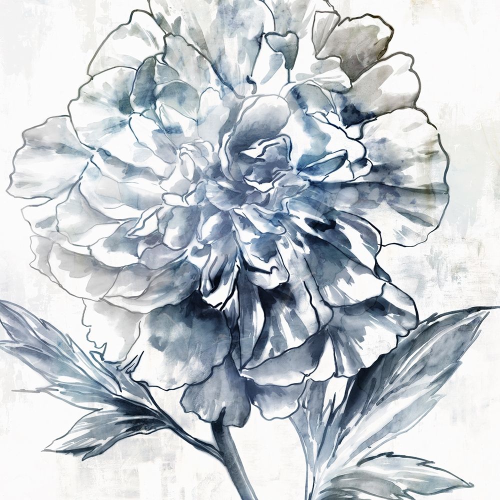 Japanese Peony II art print by Isabelle Z for $57.95 CAD