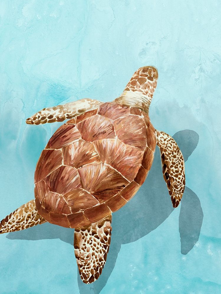 Ocean Deep Turtle I art print by Isabelle Z for $57.95 CAD