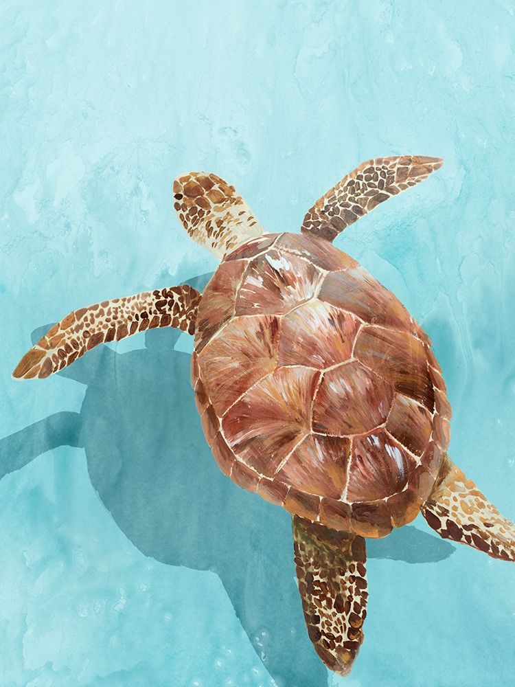 Ocean Deep Turtle II art print by Isabelle Z for $57.95 CAD